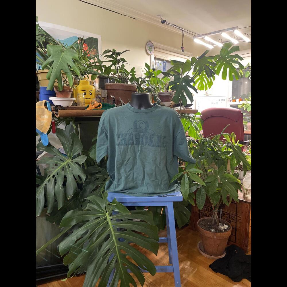 Vintage Single Stitch Cherokee North Carolina Shirt